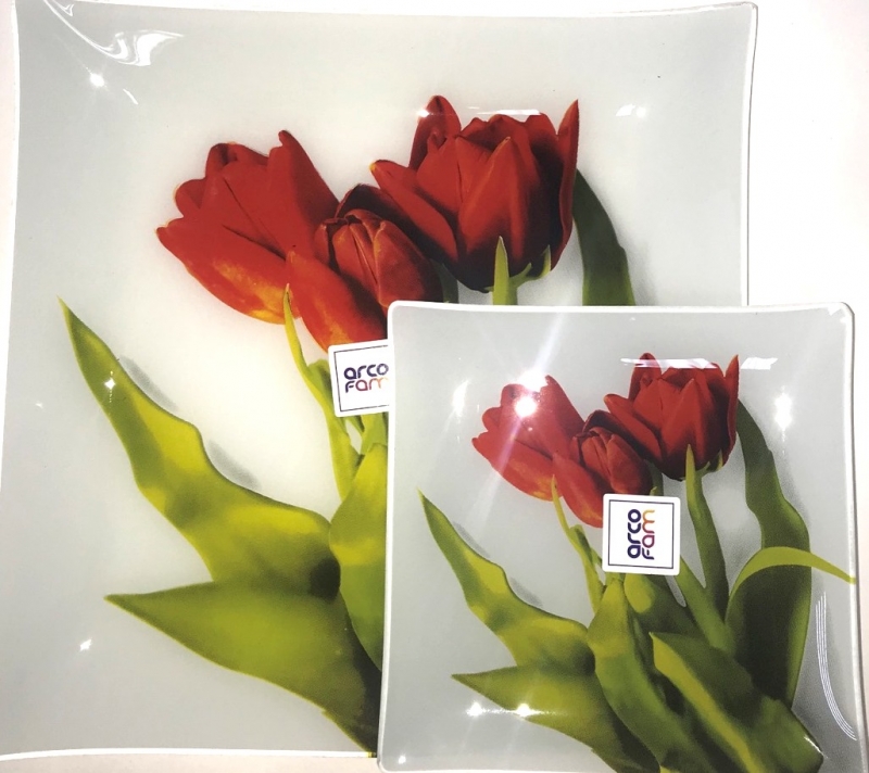 1563 Набір тарілок 7пр Тюльпани Arcofam