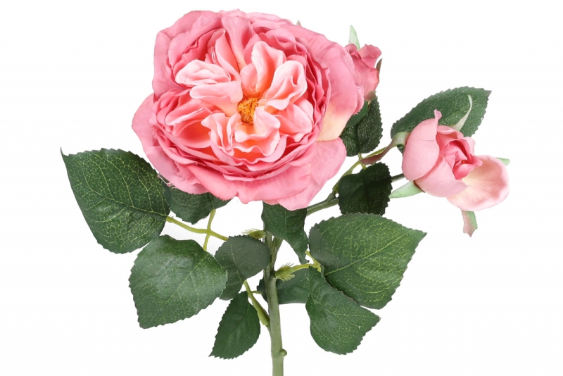 709-429 Декоративная ветвь цветов Английской розы, 50см,  цвет - закатно-розовый