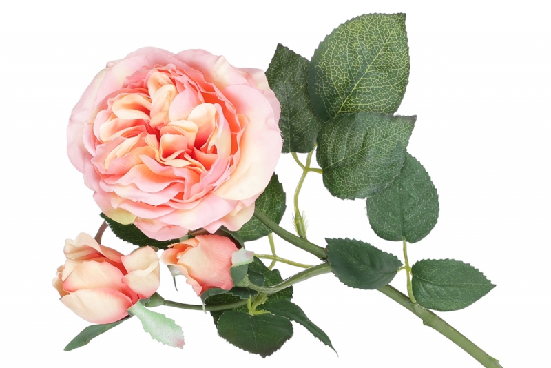 709-470 Декоративная ветвь цветов Английской розы, 50см,  цвет - персиково-розовый