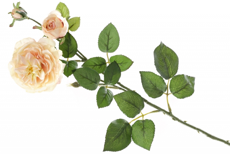709-499 Декоративная ветвь цветов Английской розы, 58см, цвет - кремово-розовый