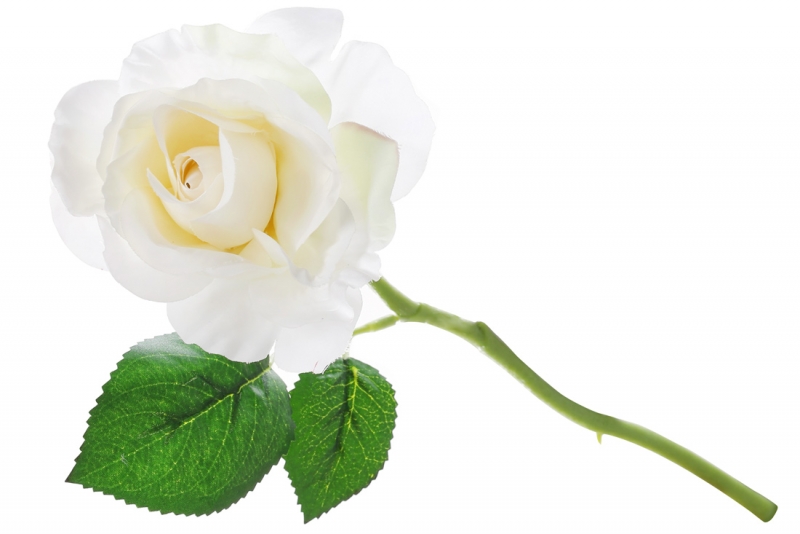 709-508 Декоративна квітка Роза, 31см, колір - білий